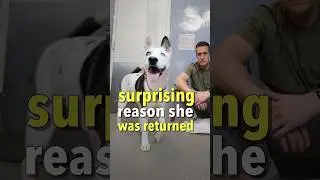 It wasn&rsquo;t her fault 😳
