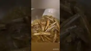 Small dried fish🐟| @shardhaskitchendiaries| #shorts #ytshorts #youtubeshorts #fish #driedfish