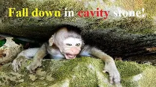 Super pity small Maci cry seizure until fall down in hole stone, What matter on pity Maci like that