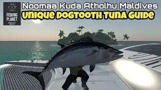 Fishing Planet:Maldives, Unique Dogtooth Tuna Guide