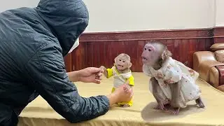 How did monkey Tina react when Xuka the monkey was kidnapped?