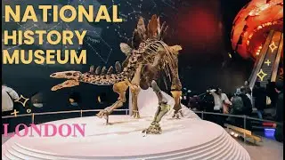 Natural History Museum London