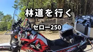 【ASMR】＃61  林道を行く…  セロー250