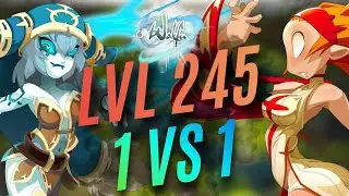 Wakfu - PVP 245 | Selo Vs Iop