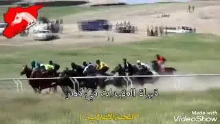 سباق الخيول العربية الاصيلة في سورية الحسكة المركز الاول سيف الهفل