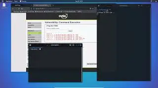 DVWA Command Injection with reverse shell | Metasploitable2 DVWA | Pentester YouTube Channel