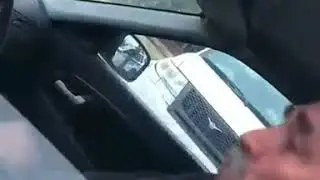 Звер(13)