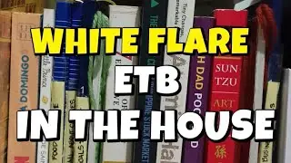 White Flare ETB IN THE HOUSE 🤣 #pokemon #pokemoncards #pokemontcg #pokemoncollection #collection 