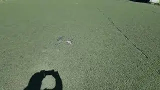 ТАК УБИВАЮТ ПЕЧОРСКИЙ СПОРТ 😡