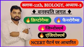 class-11th biology lesson 3 | वनस्पति जगत | plant kingdom | cryptogams | phanerogams | gymnosperm