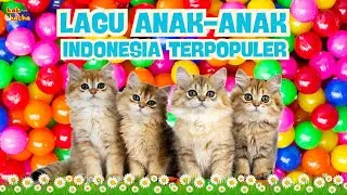 Lagu anak indonesia  - Kompilasi lagu anak anak indonesia - Lagu anak anak // @kakadanchacha