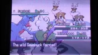 [ISHC] Shiny Sawsbuck!! (LIVE!) After 5,871 RE's! Pokemon Black