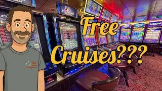 🎰 