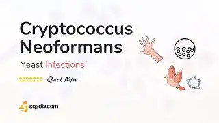 Yeast Infections - Cryptococcus Neoformans