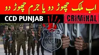 CCD Punjab 2025 | Pakistan Ki Secret Police Force | Gang Mafia Ka Khatma!