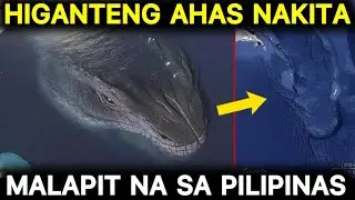 HIGANTENG AHAS na LEVIATHAN NAKUHANAN sa GOOGLE MAPS MALAPIT LANG sa PILIPINAS