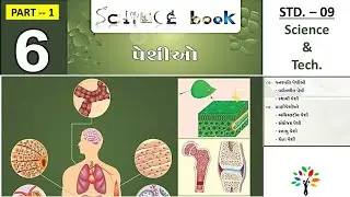 std 9 science Ch 6 - 1 | પેશીઓ | std 9 science in Gujarati | tissues