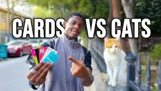 The Cats, sorry I meant (Cards) of Istanbul 🇹🇷🤣
