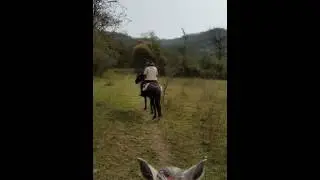 Horse riding part 3: 