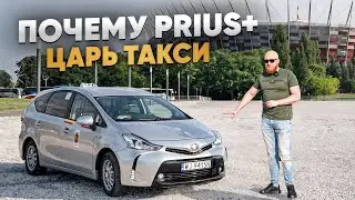 PRIUS+ для такси — ЛУЧШИЙ ВЫБОР или развод?
