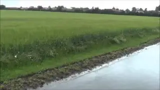 Something is Rotten in the State of Denmark