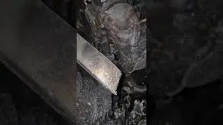 Авторозборка Хюндай Кіа Джиллі Черрі 0939338244