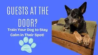 Guests at the Door? Train Your Dog to Stay Calm in Their Spot!