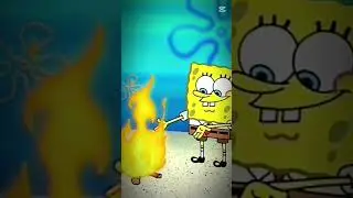 spongbog#edgard#hater