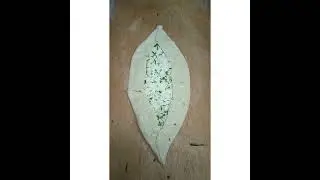 fatayer akkawi