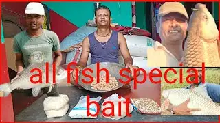 সব মাছের একটাই টোপ যেখানে খুশি ব্যবহার করা যায় 🔥 Katla and rohu special feeder bait🔥 #fishing #tips