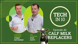 Tech in 10 - Episode 42: Calf Milk Replacers Explained: What to Look for on the Label