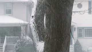 Relaxing Snowfall ❄️ Cozy Chicago Neighborhood Background | Chill Music | 3 Hours (Real Footage)