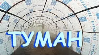 Туман в теплице для зелёного черенкования.