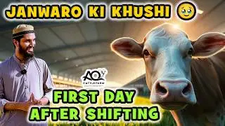 Farm Badla to Zindagi Badal Gai! 😍 Janwaron ki Khushi After Shifting