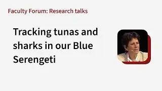 Barbara Block: Tracking tunas and sharks in our Blue Serengeti
