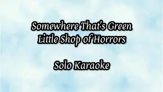 Somewhere That&rsquo;s Green Solo Karaoke No Monologue or Musical Interlude