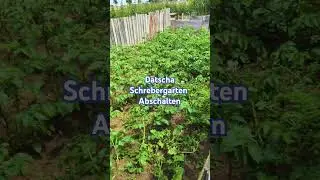 #schrebergarten #land #leben #eigenversorgung#ruhe #gelasenheit