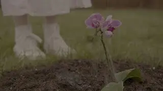 Dirt Short Film