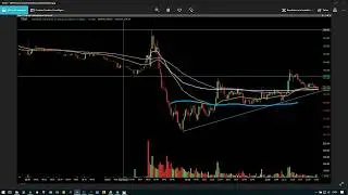 Tuesday Jan. 22nd Green Trading Recap $NFLX $TSLA $FB $STAF