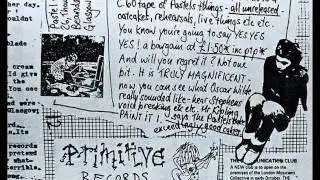 The Pastels : Roadrunner (Recorded Live 27.6.82)
