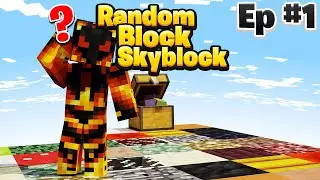 RANDOM BLOCK SKYBLOCK!!! INSANE DROPS!!!