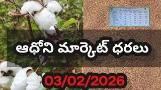ఆధోని మార్కెట్ ధరలు 03/02/2026 today adoni market rates prices cotton redgram kandulu pathi dharalu 