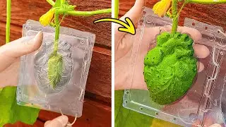 Incredibili idee di giardinaggio 🌸 Guida definitiva per coltivare un giardino rigoglioso🌿