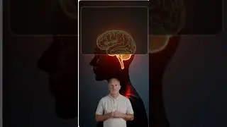 The Neuro Wave Review | Gamma Brainwave Activation Explained ⚡🧠 #TheNeuroWaveReview #TheNeuroWave
