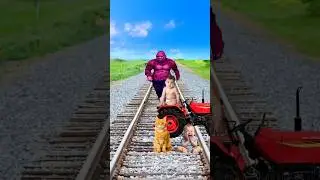 February 9, 2026White colors Cute cat & baby vshorse&traindriver tom vfx #funny