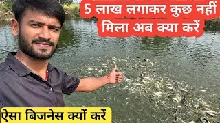 Fastest growing fish for farming in India ।। Indian fish farm ।। pangas fish farming ।machli palan।