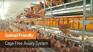 Animal welfare, functionality and efficiency | NATURA Step XL