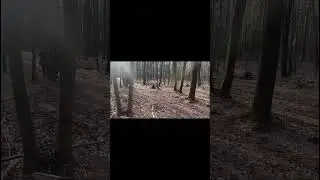Airborne Basic Infantry Training - Trench Covering Tactics!