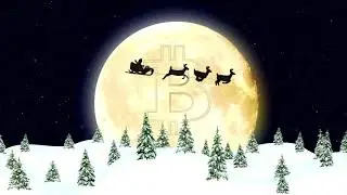Invest in Cryptocurrencies | Merry Christmas | Cryptoknowmics