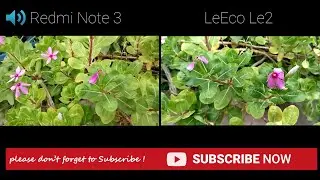 LeEco Le 2 vs Redmi Note 3 Camera Comparison - Which one is better ?